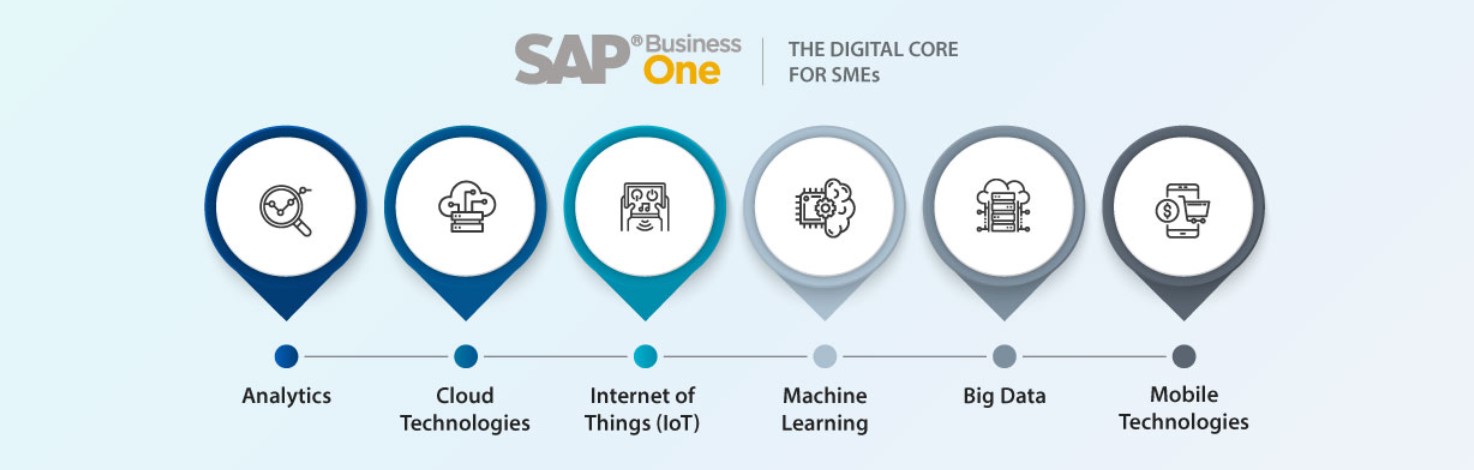 Pic6 SAP Business One