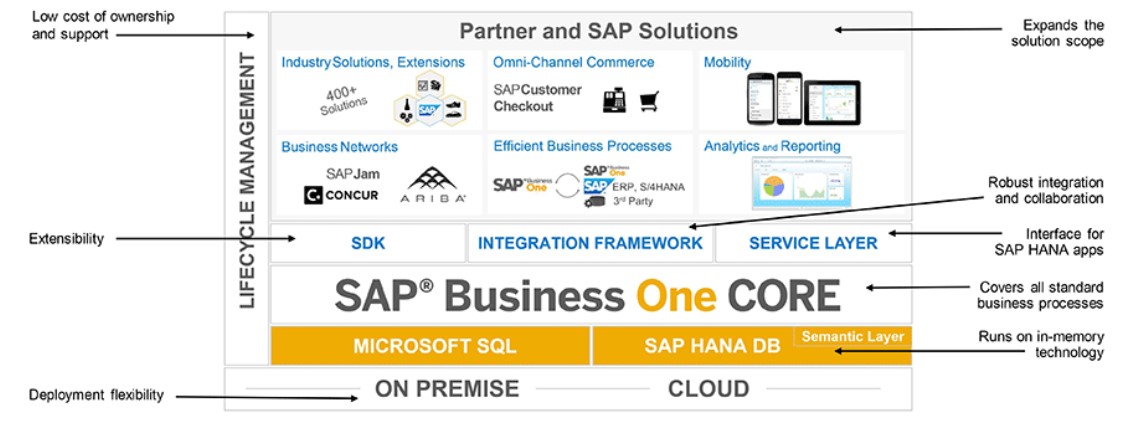 Pic7 SAP Business One